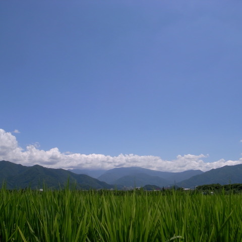 R0019132