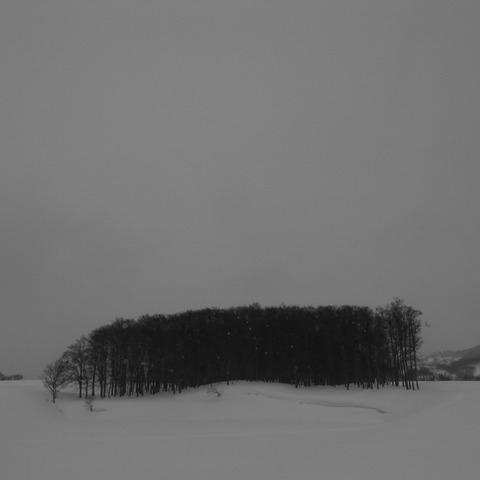 R0015733