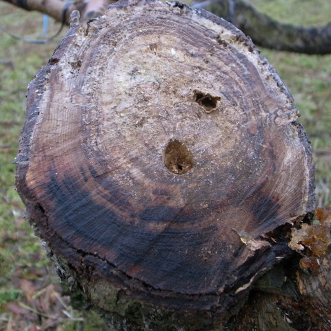 R0017708