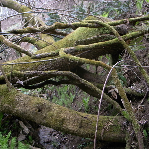 R0018301