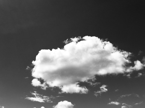 4188979C-503B-4569-A7B0-1300C44C07A8