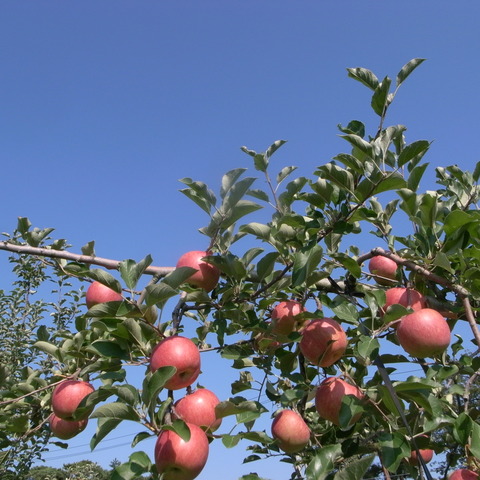 R0021418