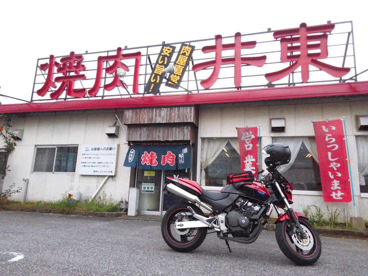 焼肉レストラン井東 千葉県茂原市高師 はり の作り方 高エンゲル係数の手引き 焼肉レストラン井東 千葉県茂原市高師 はり の作り方 高エンゲル係数の手引き