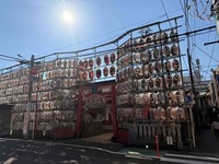 IMG_0223