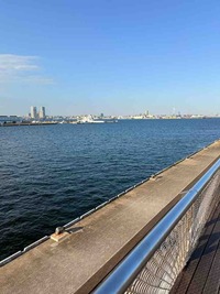 IMG_0259