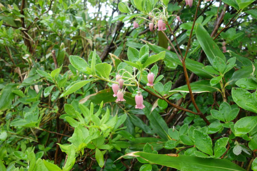 DSC05150