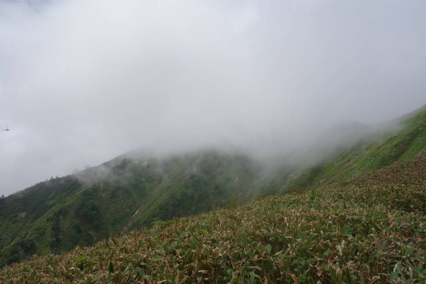 DSC05167