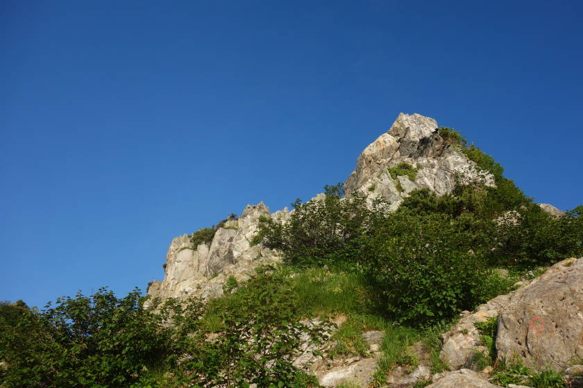 DSC05284
