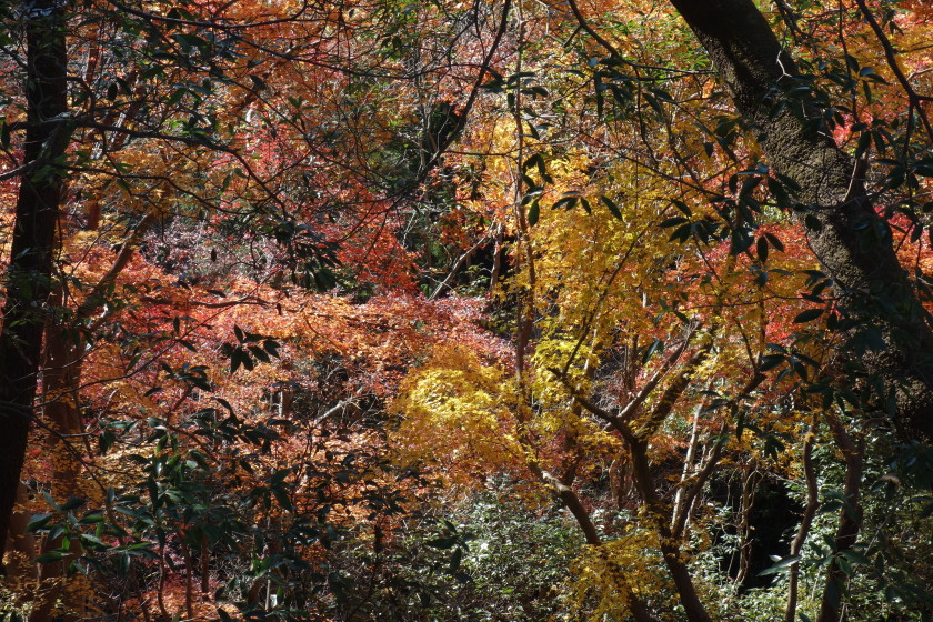 DSC06046