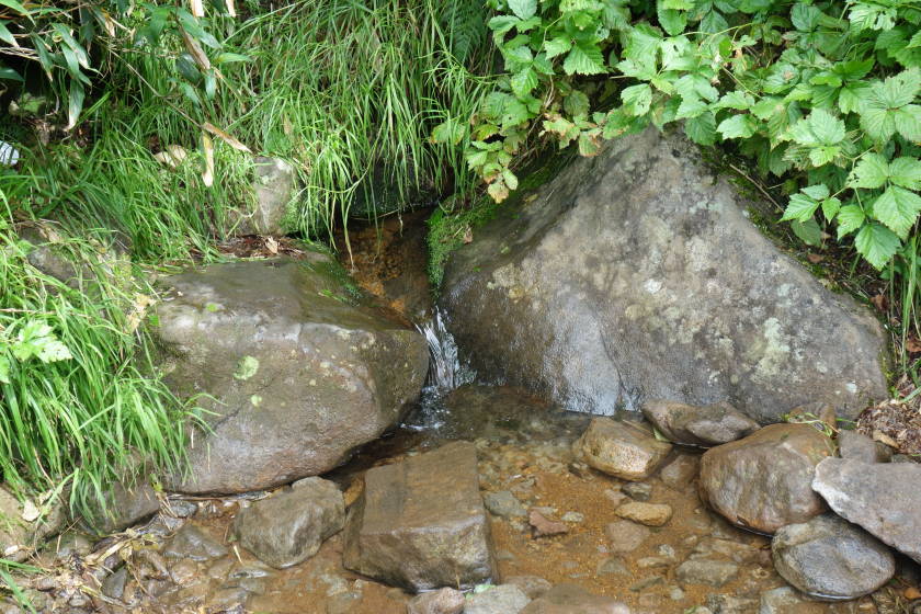 DSC05388