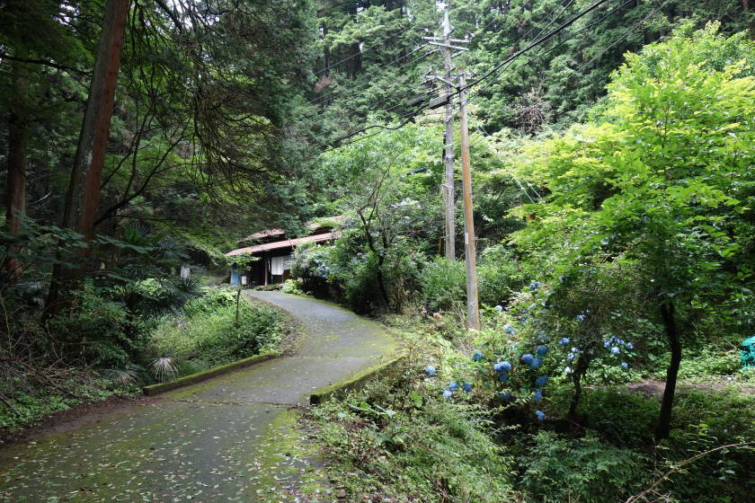 DSC05127