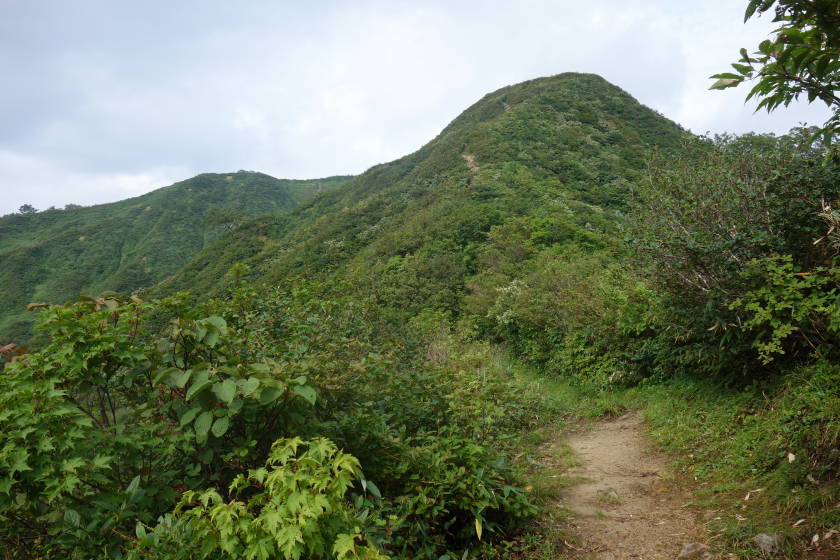 DSC05509