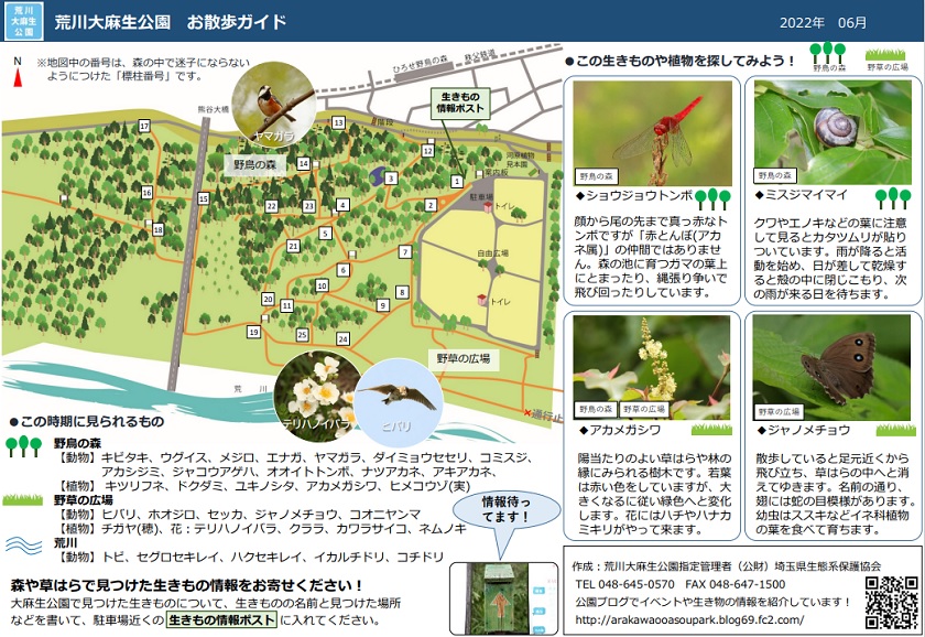 Yatyou6