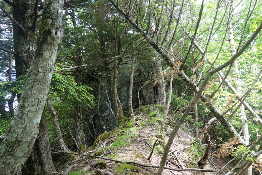 DSC06556
