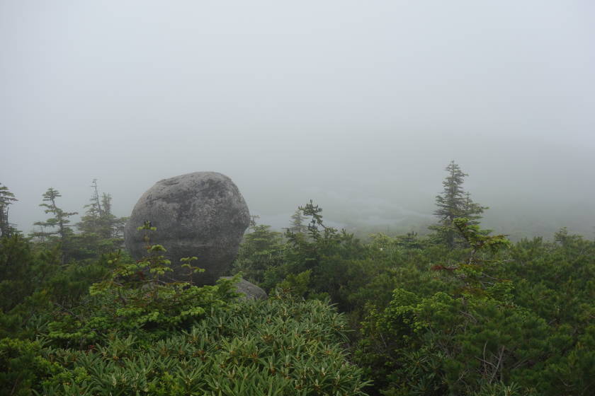 DSC05188
