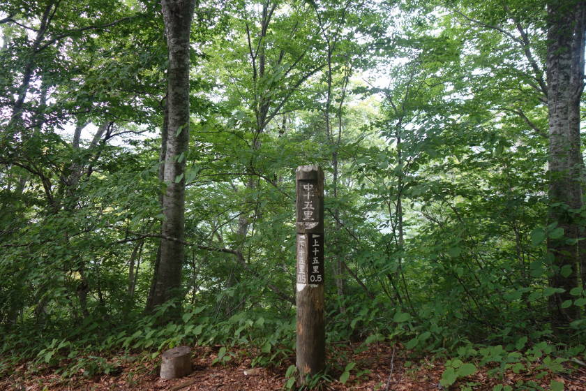 DSC05594