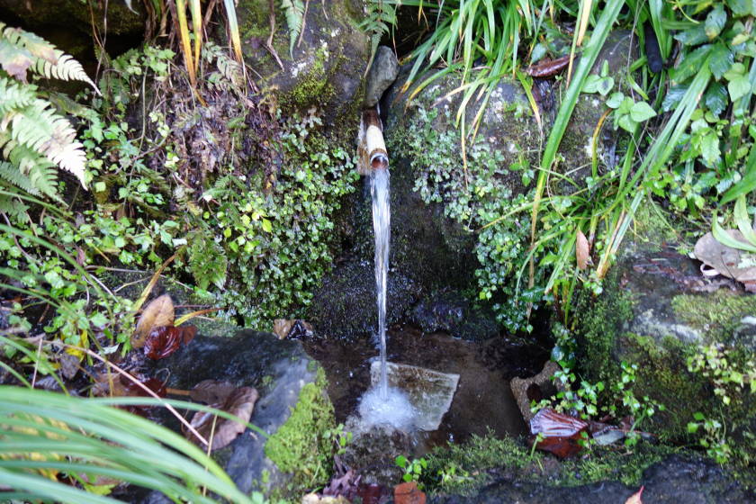 DSC04389