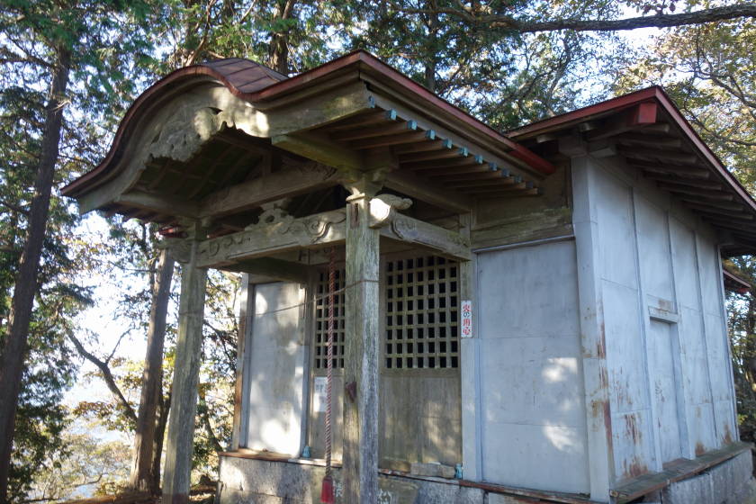 DSC04397