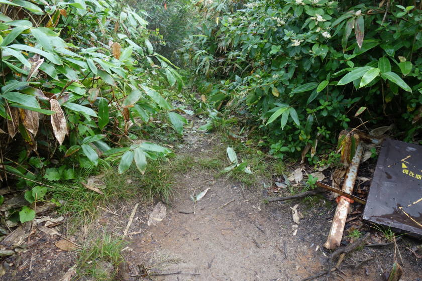 DSC05500