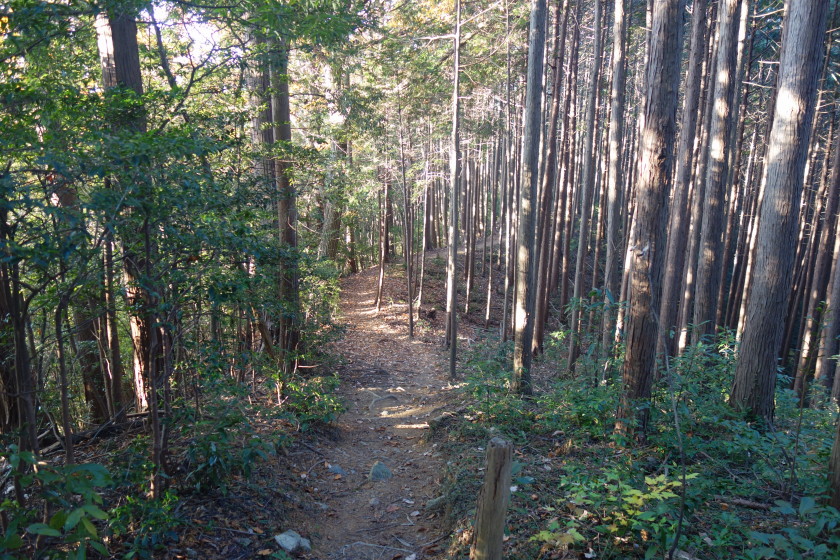 DSC06005