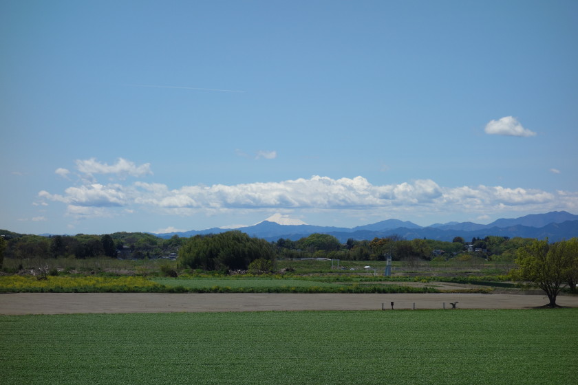 DSC06454