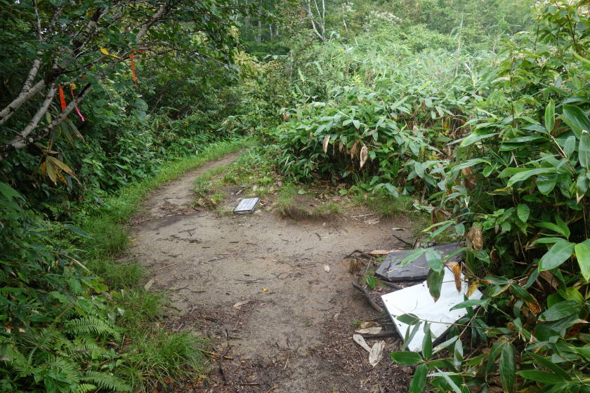DSC05499
