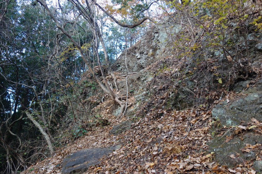 DSC05955