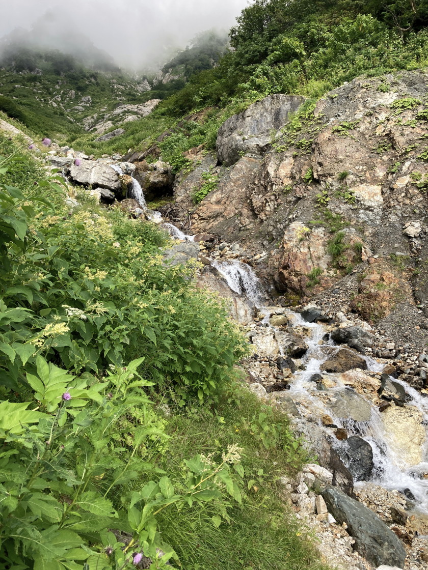 IMG_8960