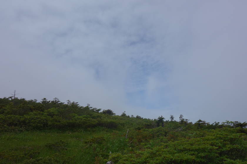 DSC05178