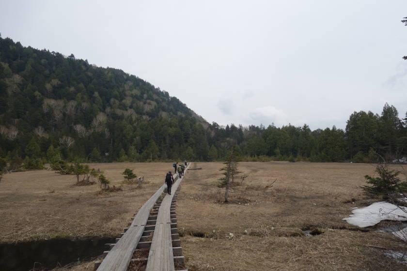 DSC05049
