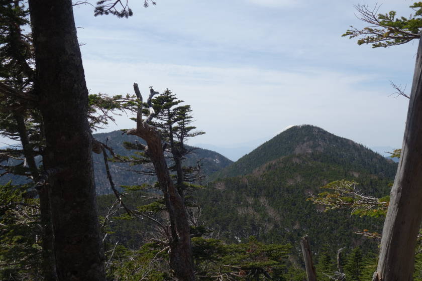 DSC04910