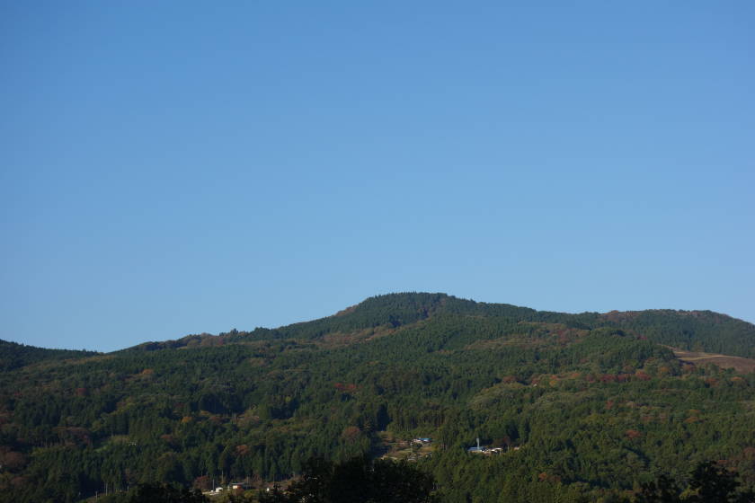 DSC04391