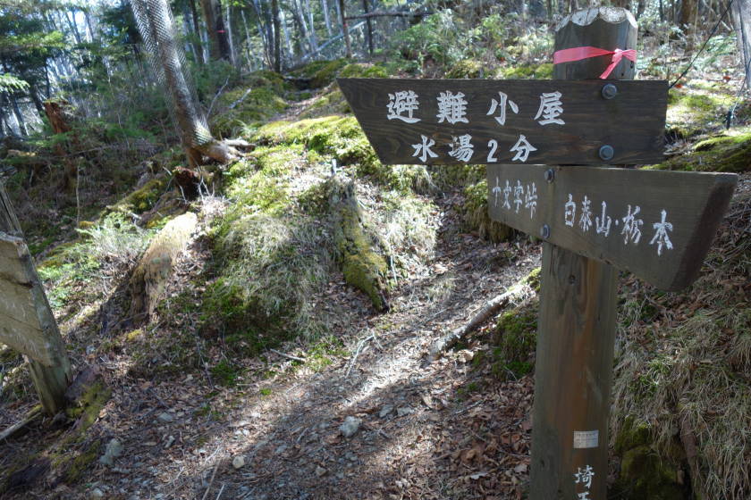 DSC04870