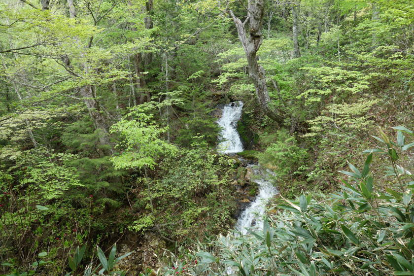 DSC05072