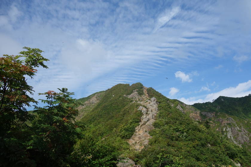 DSC05515