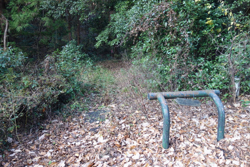 DSC06000