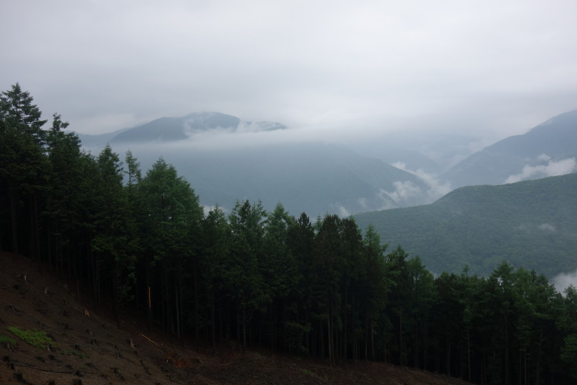 DSC06477