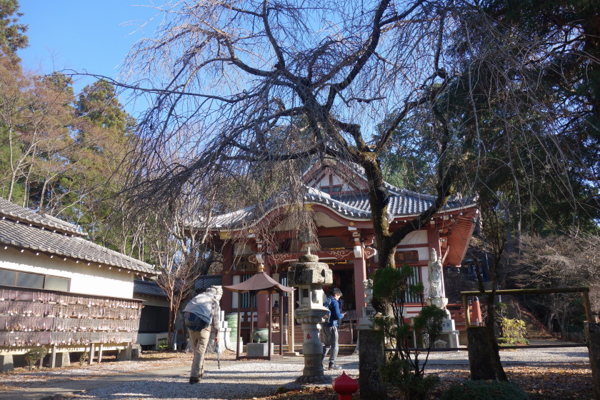 DSC06061