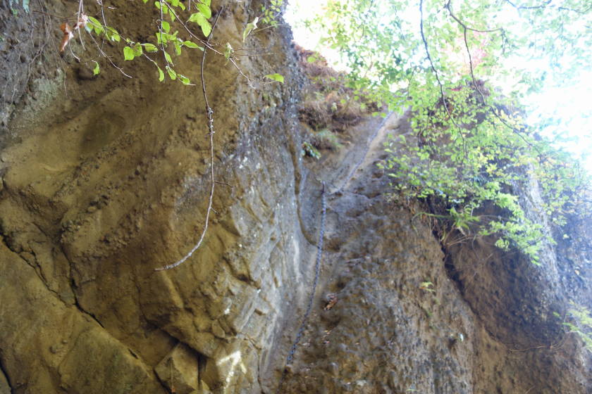 DSC04356