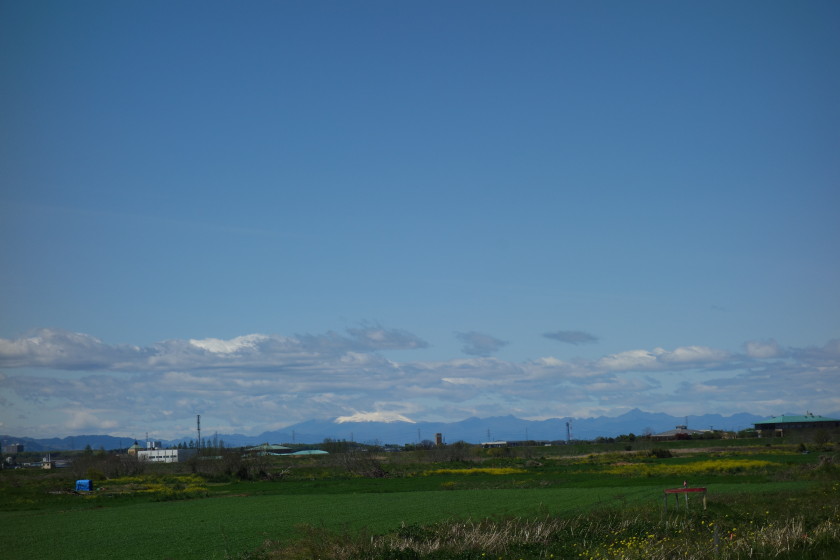 DSC06464