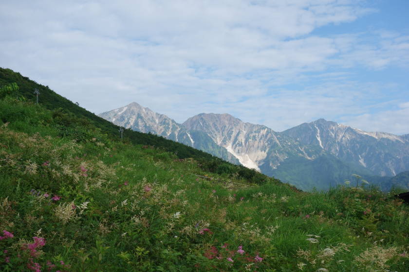 DSC05205