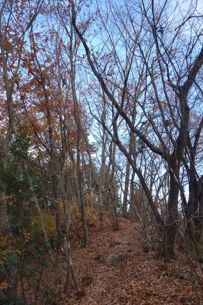 DSC05959