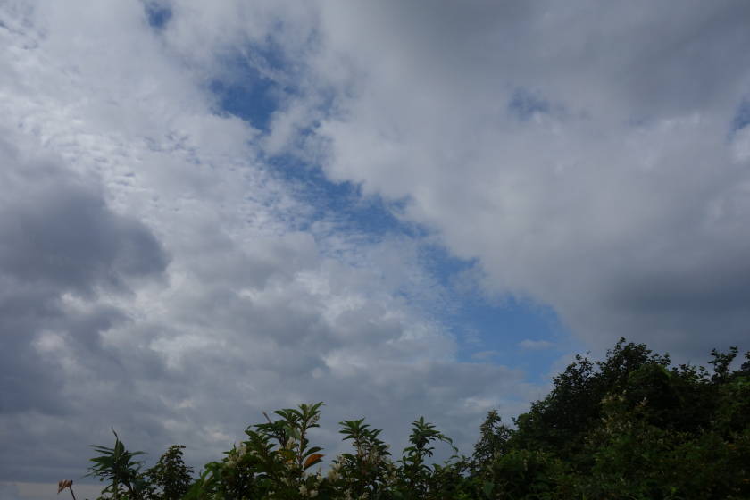 DSC05506