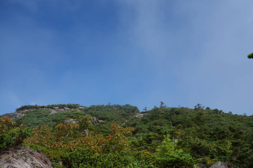 DSC05644