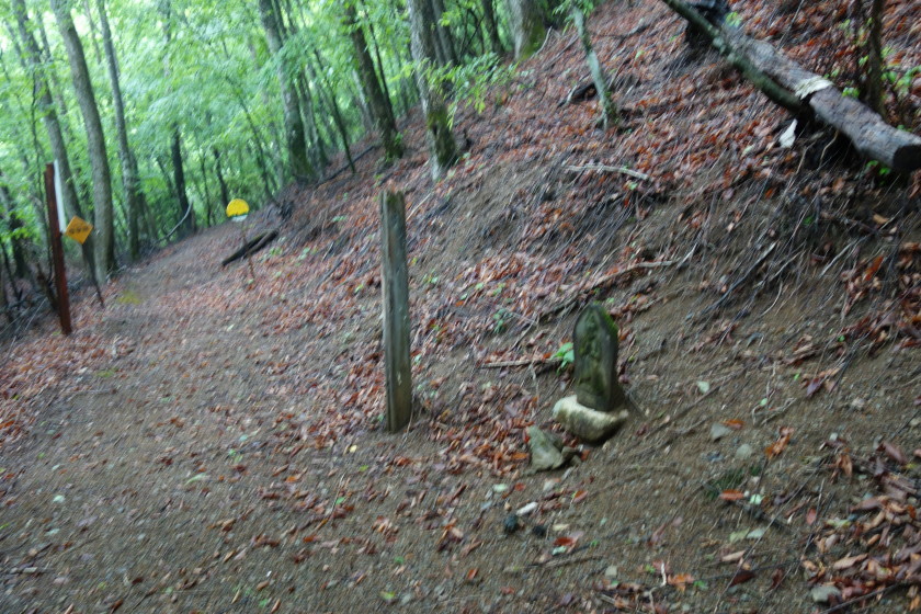 DSC06478