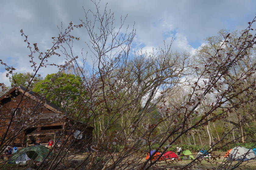 DSC05039