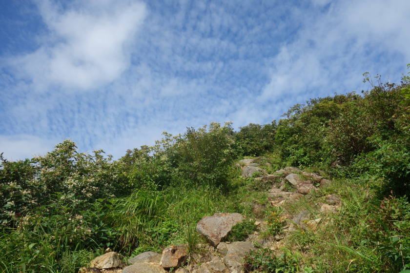 DSC05514