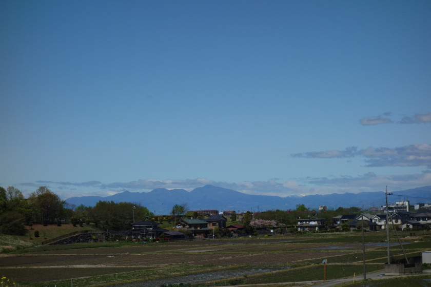 DSC06461