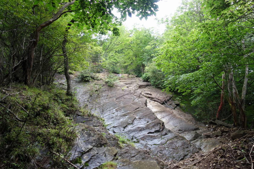 DSC05083