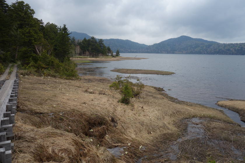 DSC05054